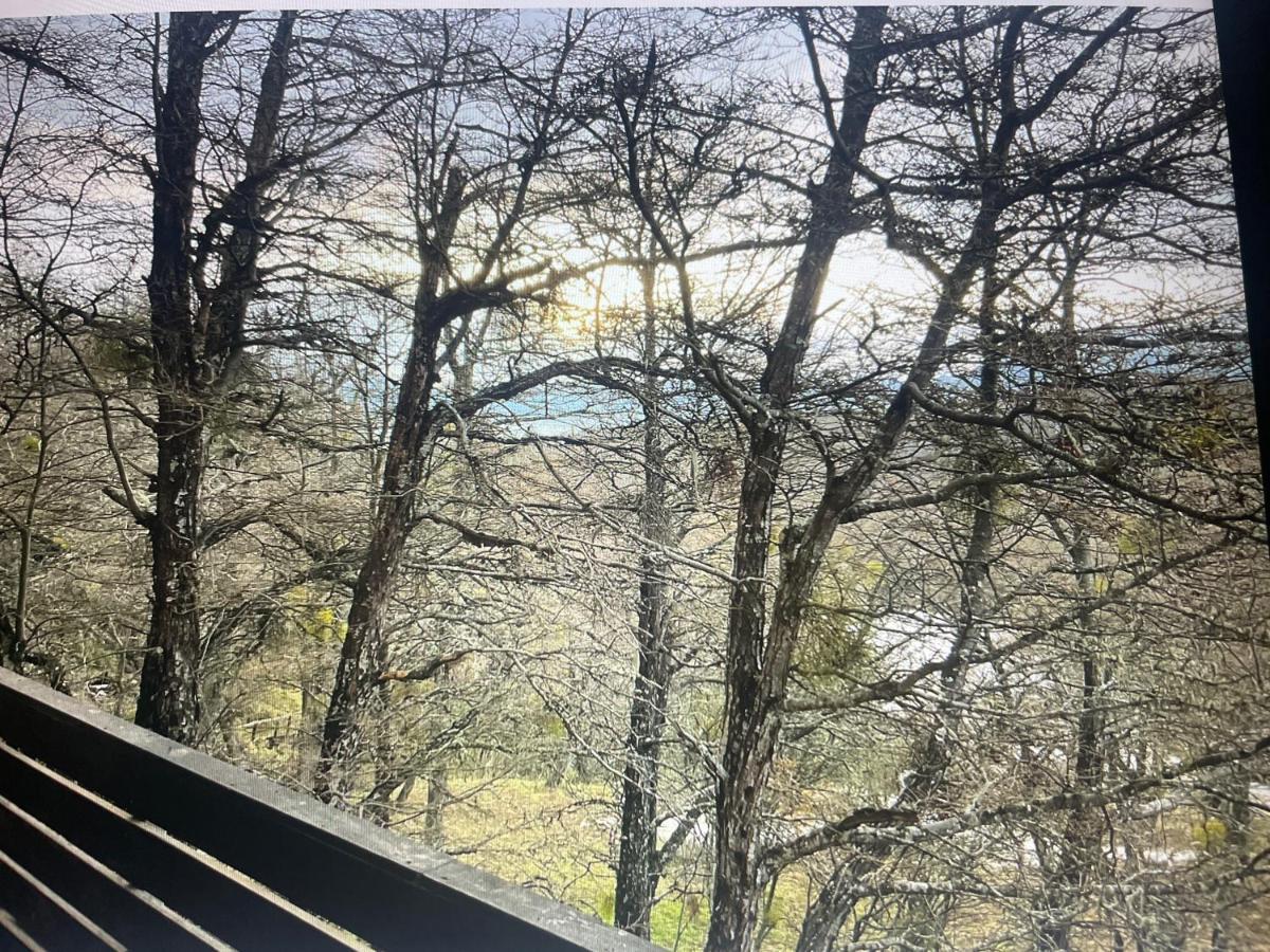 Calafate Lodge Patagonia Coyhaique Dış mekan fotoğraf